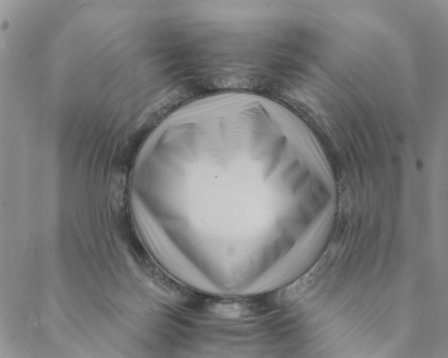 X0000088460171200706121513