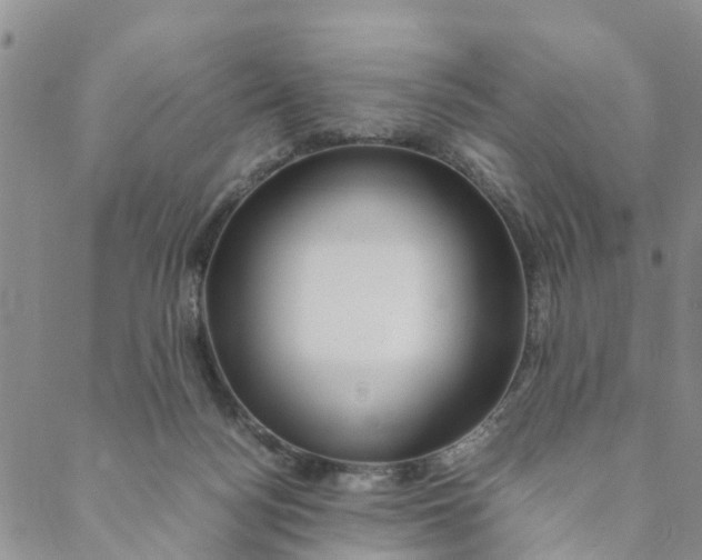 X0000088460172200706121513