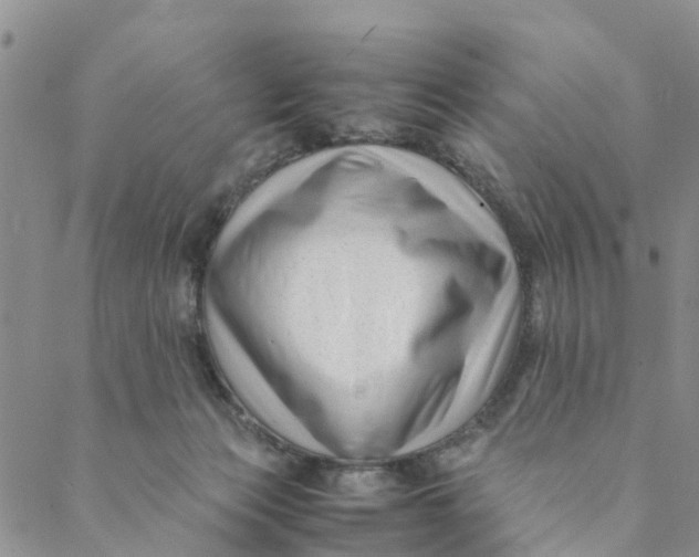 X0000088460173200706121513