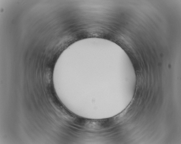 X0000088460174200706121513