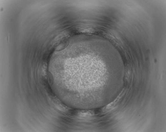 X0000088460175200706121513