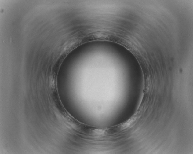 X0000088460176200706121513