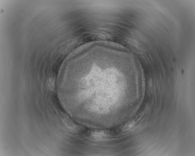 X0000088460177200706121513