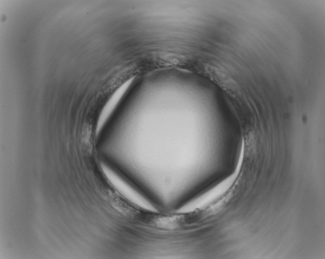 X0000088460178200706121513