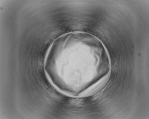 X0000088460179200706121513