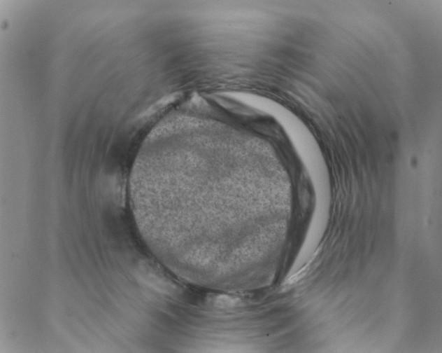 X0000088460180200706121513