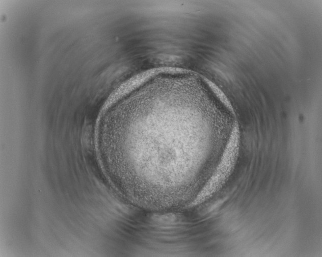 X0000088460181200706121513