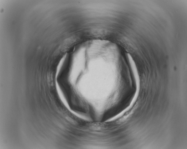 X0000088460182200706121513