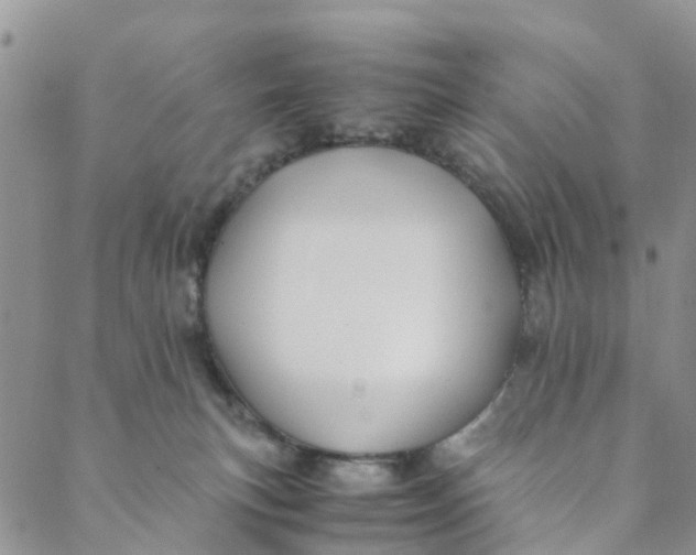 X0000088460183200706121513