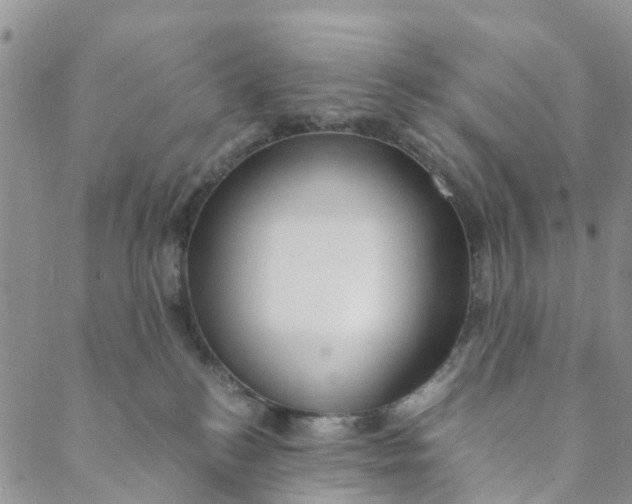 X0000088460184200706121513