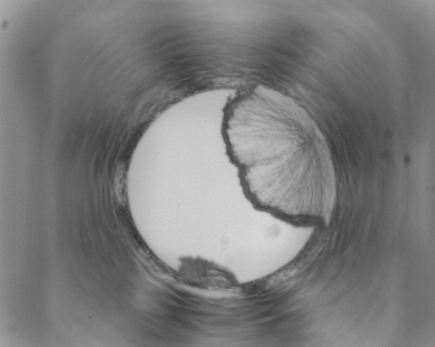 X0000088460185200706121513