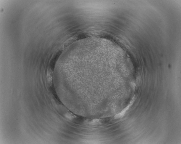 X0000088460186200706121513