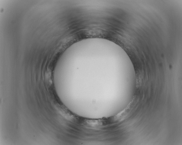 X0000088460187200706121513