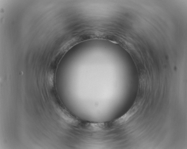 X0000088460188200706121513