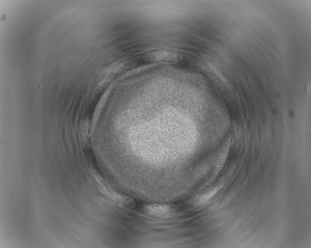 X0000088460189200706121513