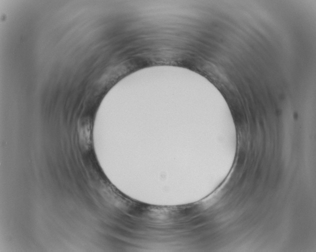 X0000088460190200706121513