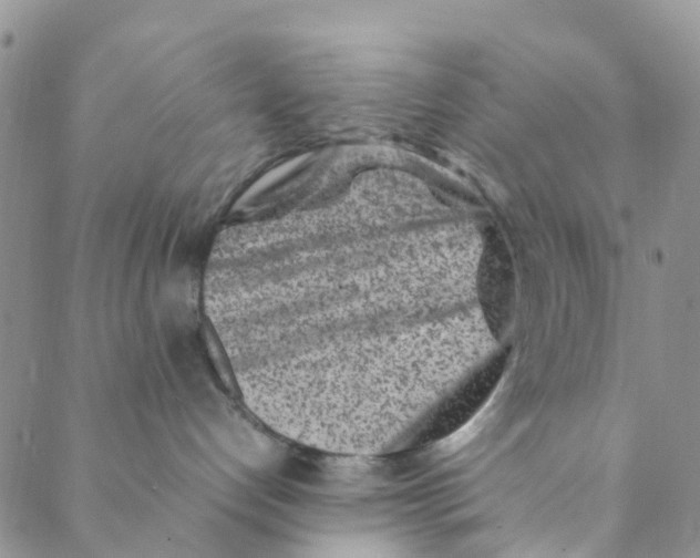 X0000088460192200706121513