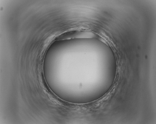 X0000088460193200706121513