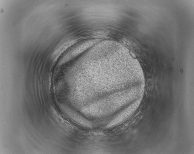 X0000088460194200706121513