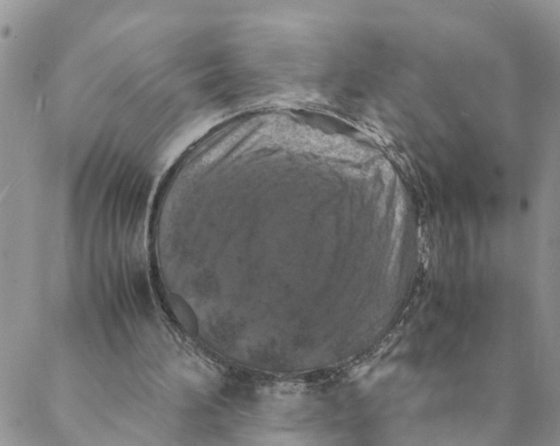 X0000088460196200706121513