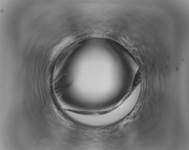 X0000088460197200706121513