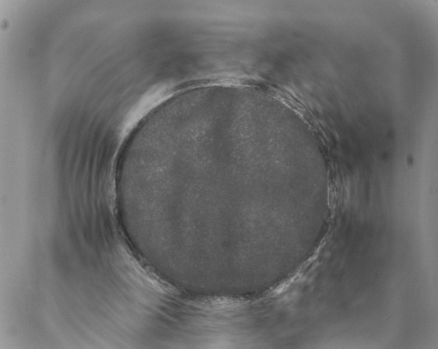 X0000088460198200706121513