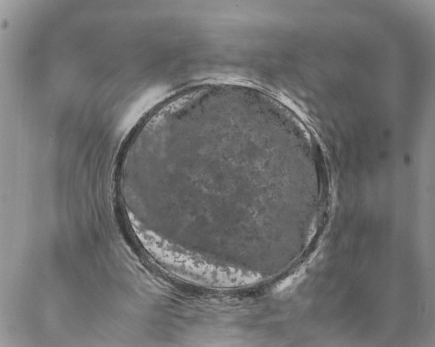 X0000088460199200706121513