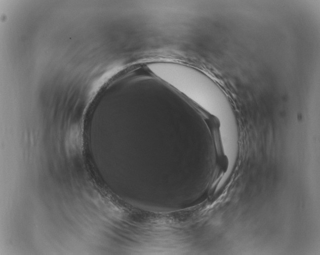 X0000088460200200706121513