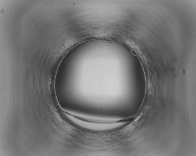 X0000088460201200706121513