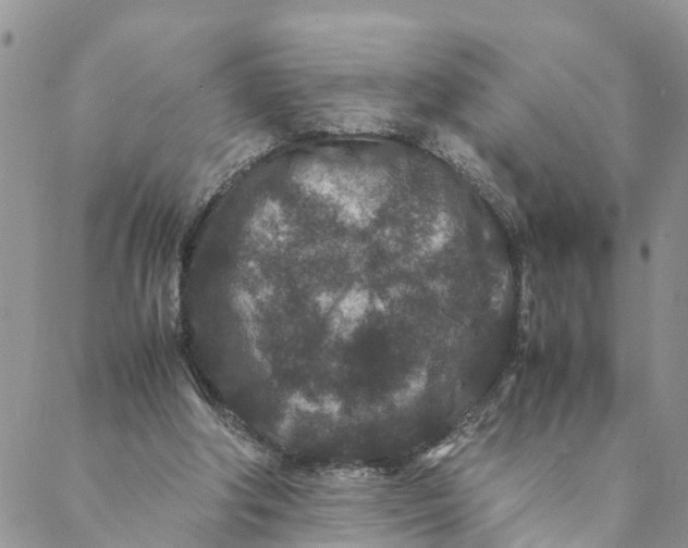 X0000088460202200706121513