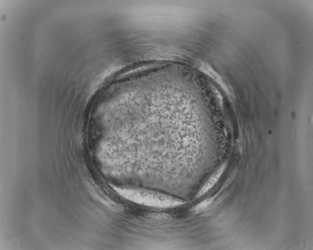 X0000088460203200706121513