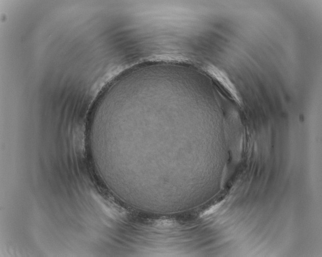 X0000088460204200706121512