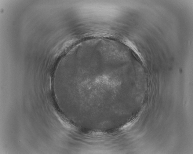 X0000088460205200706121512