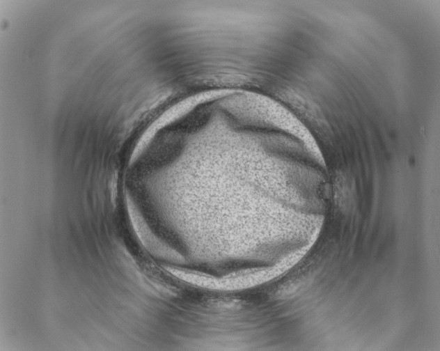 X0000088460206200706121512