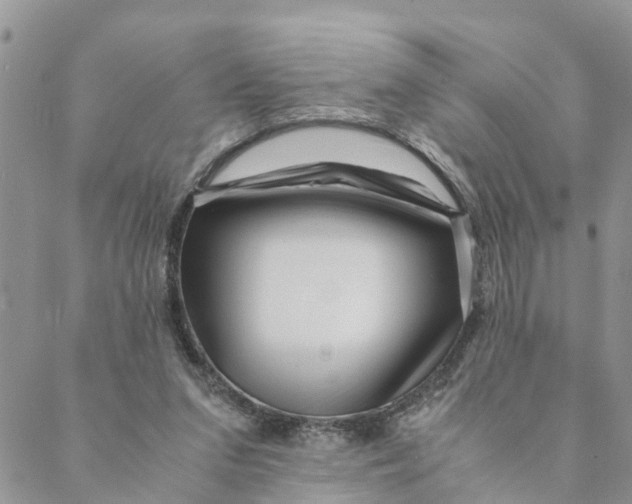 X0000088460207200706121512