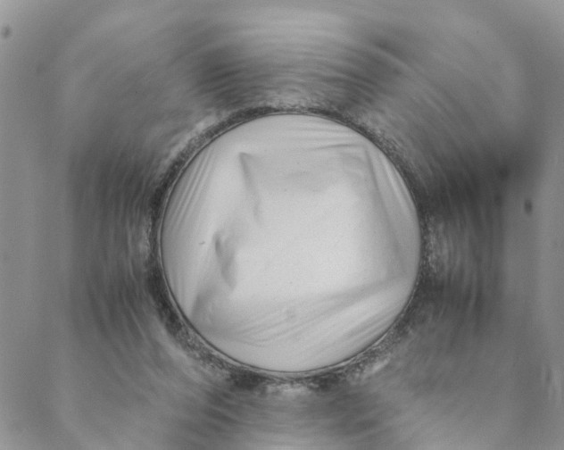 X0000088460208200706121512