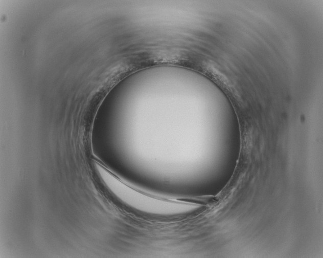 X0000088460209200706121512