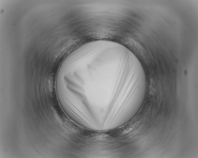 X0000088460210200706121512