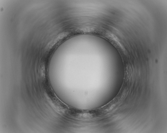 X0000088460212200706121512