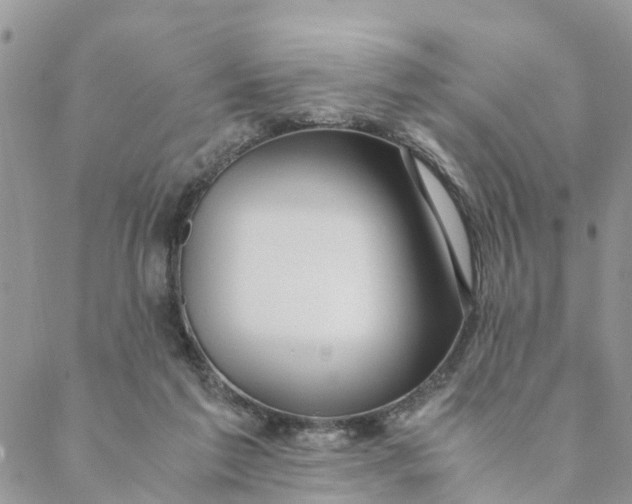 X0000088460213200706121512