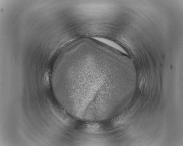 X0000088460214200706121512