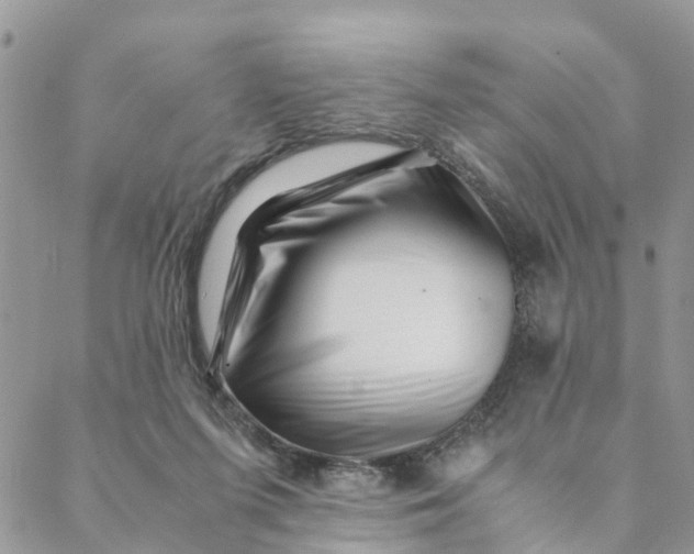 X0000088460215200706121512