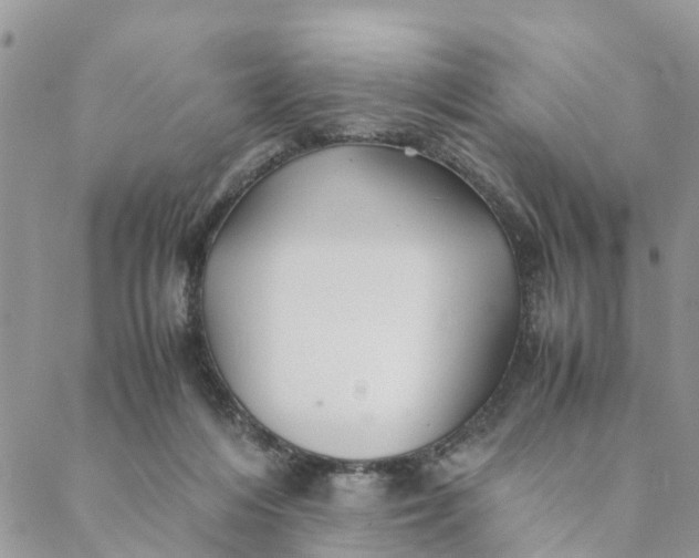 X0000088460216200706121512