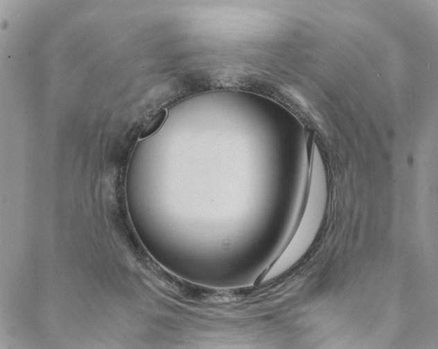 X0000088460217200706121512