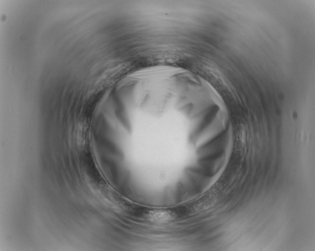 X0000088460218200706121512