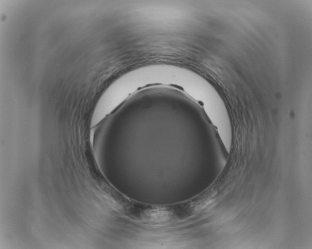 X0000088460219200706121512