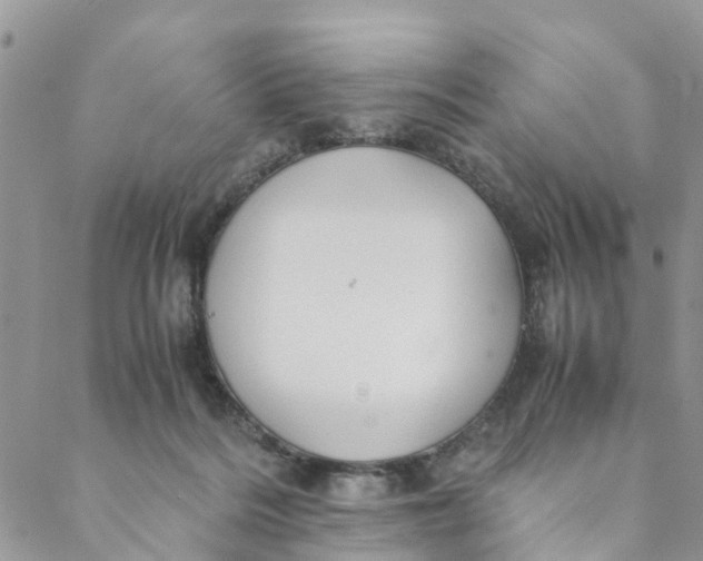 X0000088460220200706121512