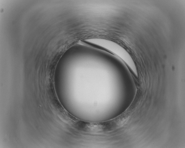 X0000088460221200706121512