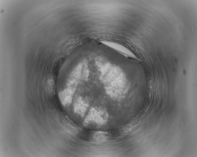 X0000088460222200706121512