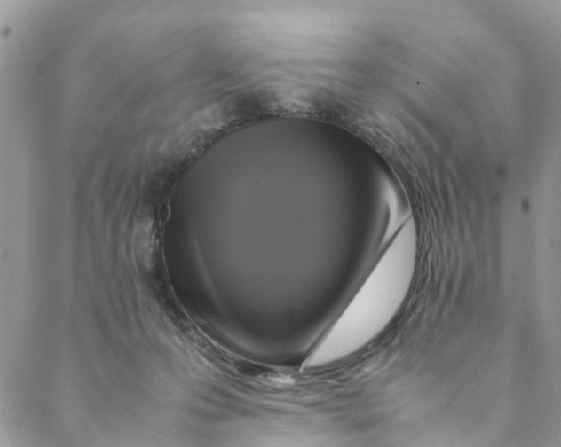 X0000088460223200706121512